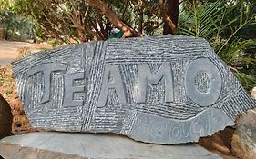 Te Amo